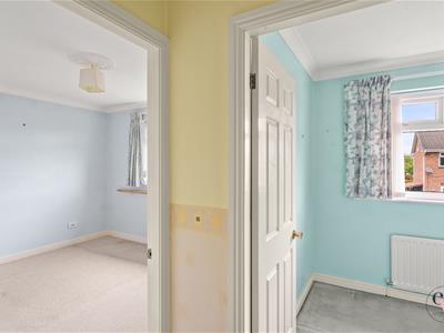 Picture 14